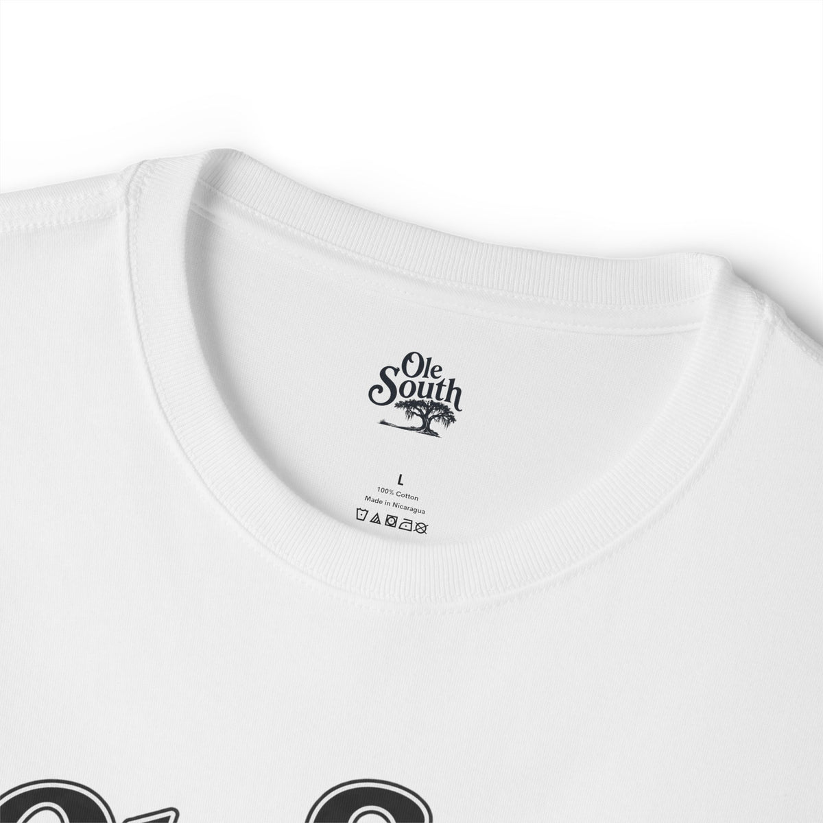 T-Shirt — “Ole South: Down Here It’s Family” Graphic Tee
